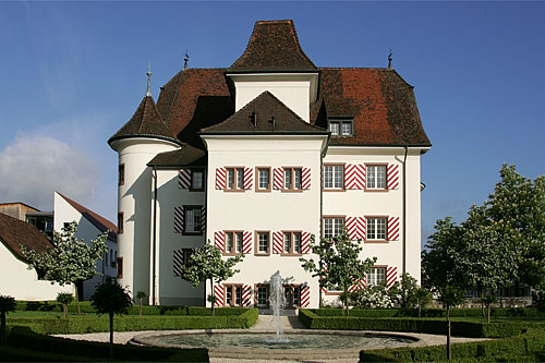 Aesch Castle